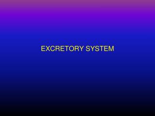 EXCRETORY SYSTEM