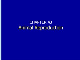 CHAPTER 43 Animal Reproduction