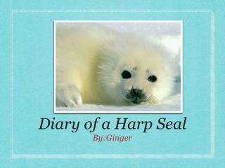 Diary of a Harp Seal