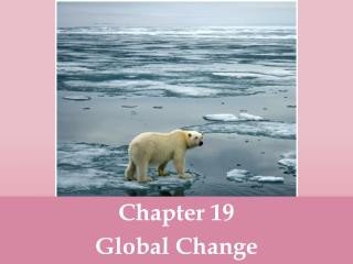 Chapter 19 Global Change