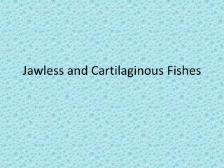 Jawless and Cartilaginous Fishes