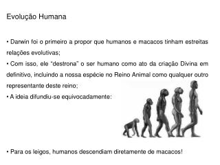 Evolução Humana