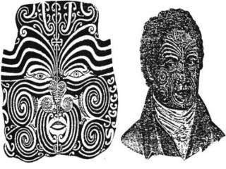 The male facial tattoo - Moko - is generally divided into eight sections :