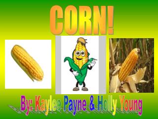 CORN!