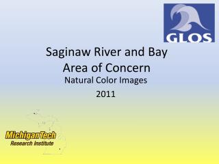 Saginaw River and Bay Area of Concern