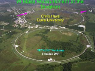 Chris Hays Duke University