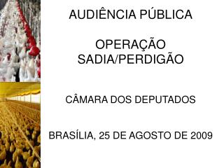 AUDIÊNCIA PÚBLICA OPERAÇÃO SADIA/PERDIGÃO CÂMARA DOS DEPUTADOS BRASÍLIA, 25 DE AGOSTO DE 2009