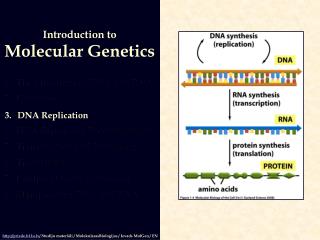 The Structures of DNA and RNA Genome s DNA Replication DNA Repair and Recombination