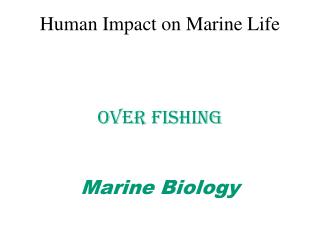 Human Impact on Marine Life Over Fishing Marine Biology