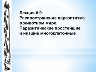 Лекция # 9 Распространение паразитизма в животном мире. Паразитические простейшие