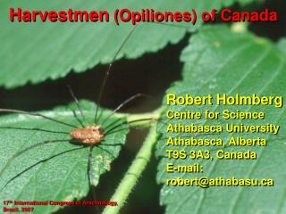 Harvestmen (Opiliones) of Canada