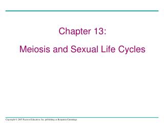 Chapter 13: Meiosis and Sexual Life Cycles