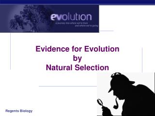 Evidence for Evolution by Natural Selection