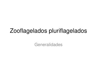 Zooflagelados pluriflagelados