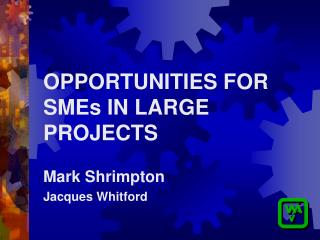 OPPORTUNITIES FOR SMEs IN LARGE PROJECTS