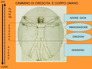 CAMMINO DI CRESCITA E CORPO UMANO