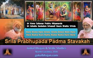 Hare Krsna Hare Krsna Krsna Krsna Hare Hare Hare Rama Hare Rama Rama Rama Hare Hare