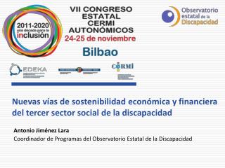 Nuevas vías de sostenibilidad económica y financiera del tercer sector social de la discapacidad