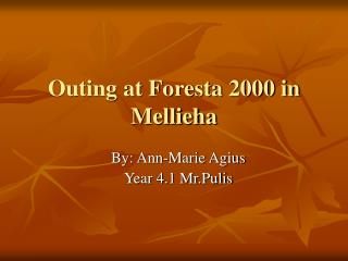 Outing at Foresta 2000 in Mellieha