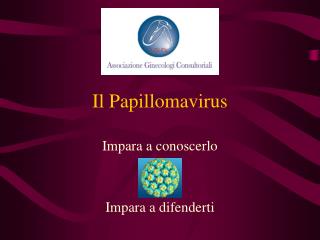 Il Papillomavirus