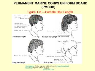 Figure 1-3.—Female Hair Length
