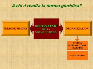 DESTINATARI DELLA NORMA GIURIDICA