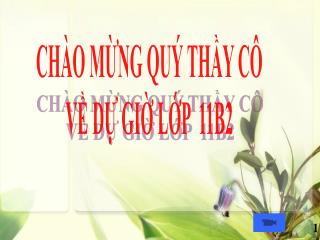 CHÀO MỪNG QUÝ THẦY CÔ VỀ DỰ GIỜ LỚP 11B2