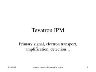 Tevatron IPM