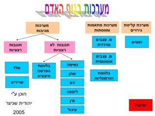 מערכות מתאמות ומווסתות