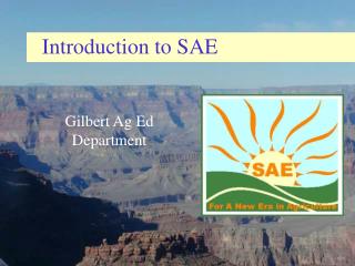 Introduction to SAE