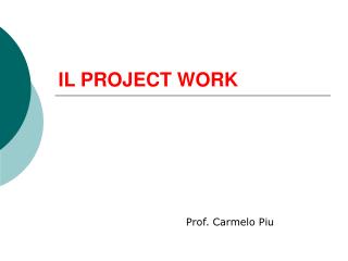IL PROJECT WORK