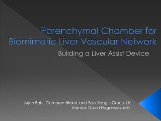 Parenchymal Chamber for Biomimetic Liver Vascular Network