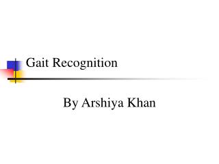 Gait Recognition