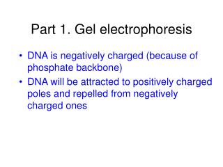 Part 1. Gel electrophoresis