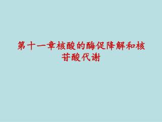 第十一章核酸的酶促降解和核苷酸代谢