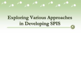 Exploring Various Approaches in Developing SPIS