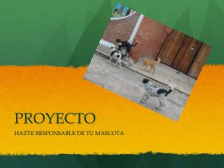 PROYECTO