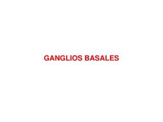 GANGLIOS BASALES