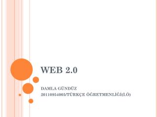 WEB 2.0