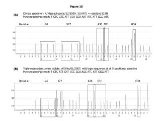 Clinical specimen: A/Massachusetts/12/2009: 31(AAT) = resistant S31N