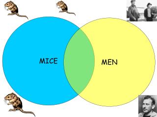 MICE