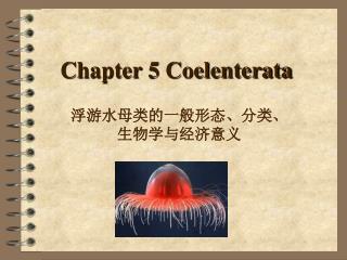 Chapter 5 Coelenterata