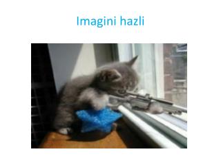 Imagini hazli