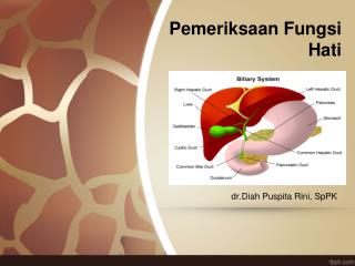 Pemeriksaan Fungsi Hati