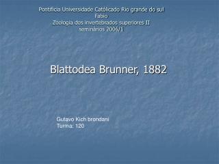 Blattodea Brunner, 1882