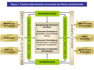 Figura 1: Factores determinantes na evolução das fileiras hortofrutícolas