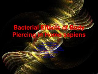 Bacterial Effects of Body Piercing in Homo sapiens