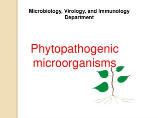 M icrobiology, V irology, and I mmunology Department