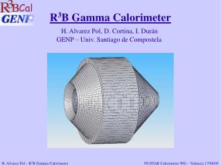 R 3 B Gamma Calorimeter