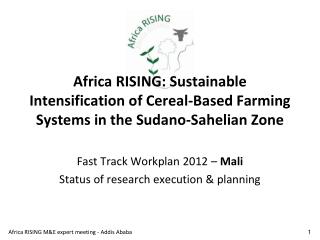 Fast Track Workplan 2012 – Mali Status of research execution &amp; planning